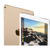Tableta Apple iPad Pro 9.7 cu Retina Cellular 4G 32GB Rose Gold