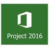 Microsoft Project Standard 2016, 32/64-bit, Engleza, FPP