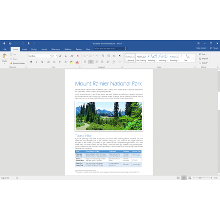 Microsoft Office Professional 2016, All languages, FPP, Licenta Electronica