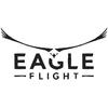 EAGLE FLIGHT (VR) - PS4