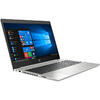 Laptop HP 15.6'' ProBook 450 G6, FHD, Intel Core i5-8265U , 8GB DDR4, 256GB SSD, GeForce MX130 2GB, Win 10 Pro, Silver