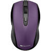 CANYON Wireless mouse, optical 800/1200/1600 DPI, 6 button, 2 mode(BT/ 2.4GHz), violet