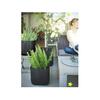 Keter Ghiveci Curver Cube M, imitatie lemn, negru, 17202066902
