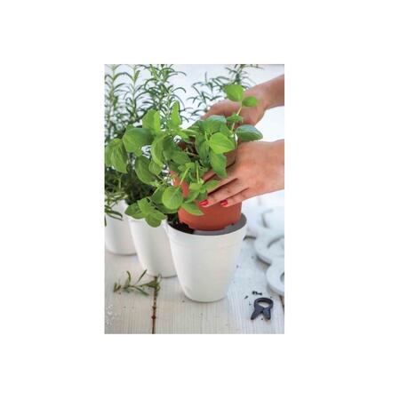 Ghiveci triplu Curver Ivy Herbs, alb, 17197630