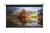 Ecran proiectie perete/tavan Blackmount, marime vizibila: 240cm x 135 cm, manual, Format 16:9