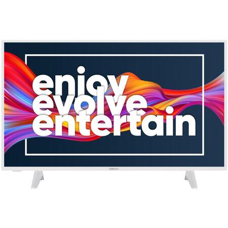 Televizor LED Horizon 43HL6331F/B, Clasa E, 108cm, Smart TV Full HD, Alb