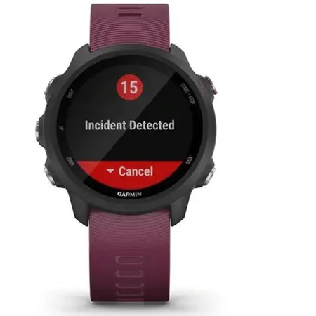 Ceas smartwatch Garmin Forerunner 245, GPS, Berry