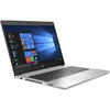 Laptop HP 14'' ProBook 445 G7, FHD,  AMD Ryzen 5 4500U, 8GB DDR4, 1TB + 256GB SSD, Radeon, Win 10 Pro, Silver