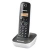 Telefon fara fir Panasonic DECT KX-TG1611FXW, Caller ID, Alb/Negru