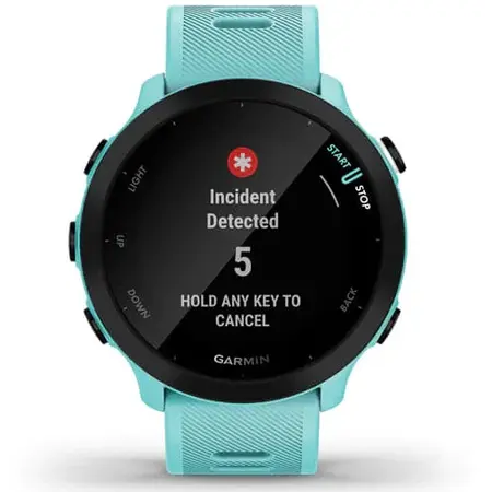 Ceas Smartwatch Garmin Forerunner 55, Aqua