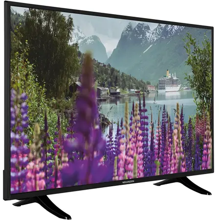 Televizor Wellington WL42FHD289SW, 106 cm, Smart, Full HD, LED, Clasa E
