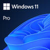 Microsoft Licenta OEM Windows 11 Pro 64 bit English