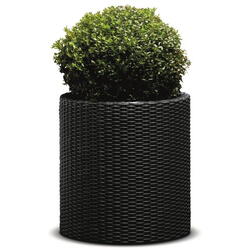 Keter Ghiveci cilindric imitatie ratan Cylinder M 18 L, gri