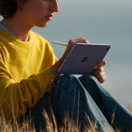 Apple iPad mini 6 (2021), 256GB, Wi-Fi, Purple