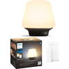 Philips Lampa LED Hue Wellness, Bluetooth, E27, 6W (60W), 806 lm, lumina alba (2200-6500K), IP20, 18.6cm, Sticla, Negru, Intrerupator cu variator inclus