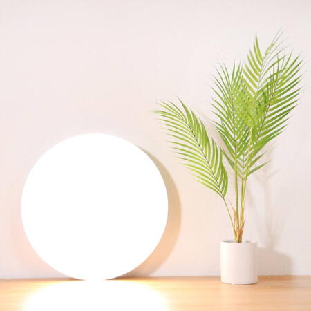 Plafoniera LED Xiaomi BHR4852TW Mi Smart, 350mm