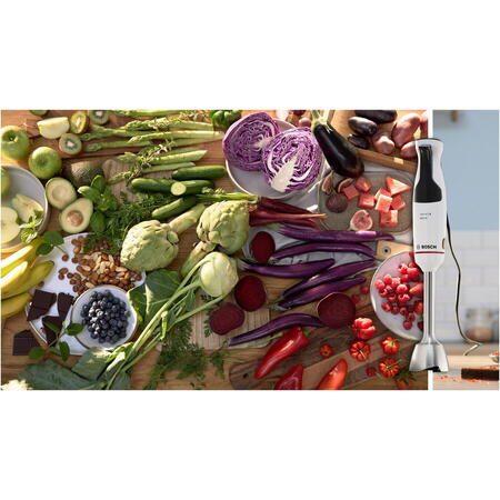 Mixer vertical ErgoMaster MSM4W210, 600 W, cutit 4 lame si functie antisplash, cuplaj ceramic, picior mixare inoxidabil, pahar de masurare, Alb/ negru grey