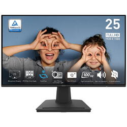Monitor LED MSI Pro MP252 24.5 inch FHD IPS 1 ms 100 Hz