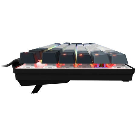 Tastatura Gaming LORGAR Azar 514 RGB Linear Dream Switch Mecanica
