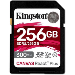 Card de memorie, Kingston, SD, 256 GB, SDXC, Clasa 10, Negru