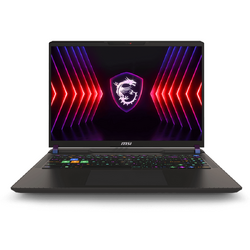 Laptop MSI Gaming 16'' Vector 16 HX A14VHG, QHD+ 240Hz, Procesor Intel® Core™ i9 14900HX (36M Cache, up to 5.80 GHz), 32GB DDR5, 1TB SSD, GeForce RTX 4080 12GB, Free DOS, Cosmos Gray