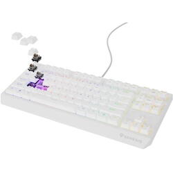 Tastatura Genesis Thor 230 TKL B alb