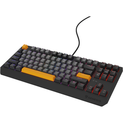 Tastatura Genesis Thor 230 TKL R gri