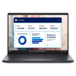 Laptop Dell Pro 13 DLPA1325U73215GW11P, 13.3 inch 1920 x 1200, Intel 268V 8 C / 8 T, 2.2 GHz - 5.0 GHz, 12 MB cache, 32 GB RAM, 1 TB SSD, Intel Arc Graphics, Windows 11 Pro