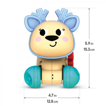 CAPRIOARA, JUCARIE DE TRAS