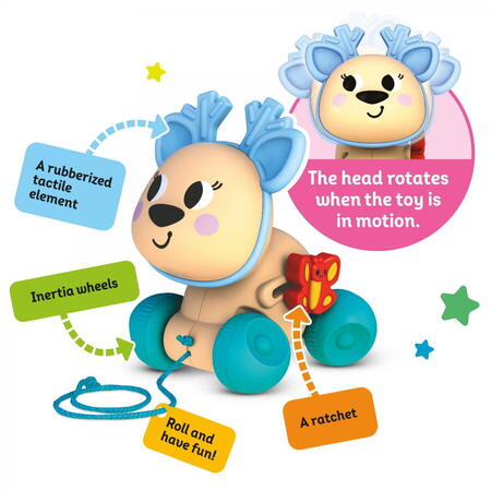 CAPRIOARA, JUCARIE DE TRAS