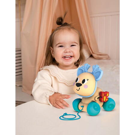 CAPRIOARA, JUCARIE DE TRAS