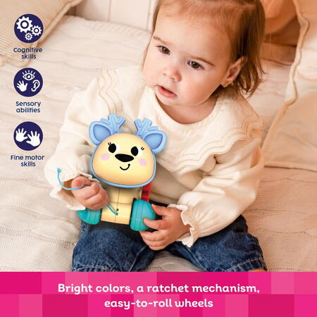 CAPRIOARA, JUCARIE DE TRAS