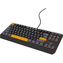 Tastatura Gaming Genesis THOR 230 TKL RGB Anchor Grey Positive Outemu Red Switch Mecanica